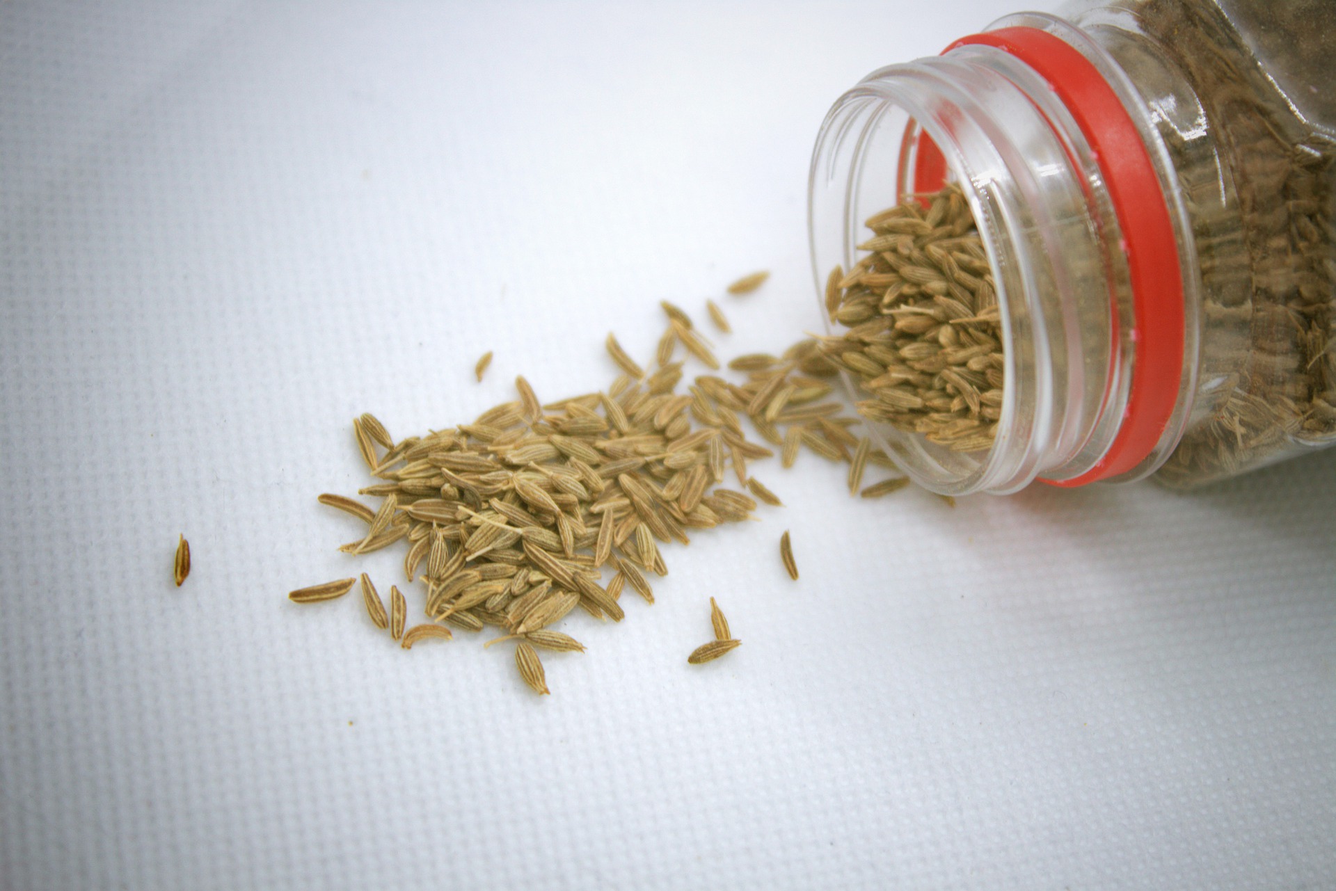 Kreuzkümmel Cumin 40 g